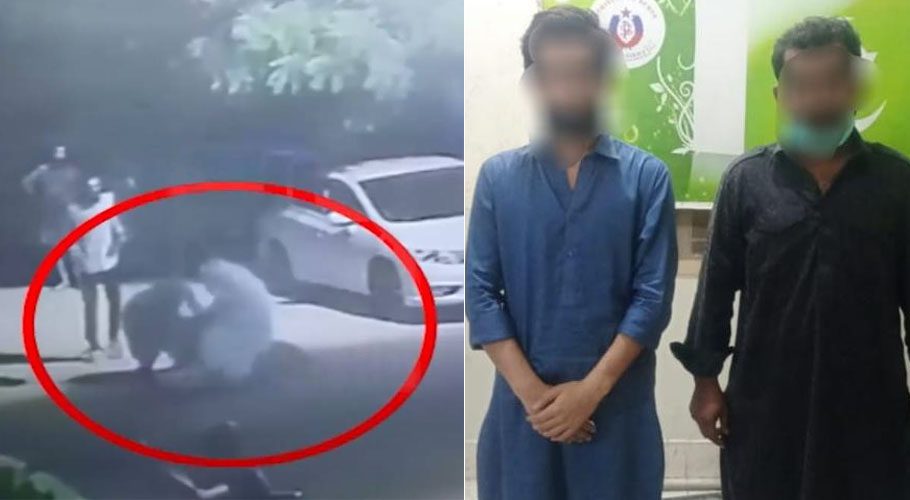 Lion owner and guard arrested for attacking child in Karachi
