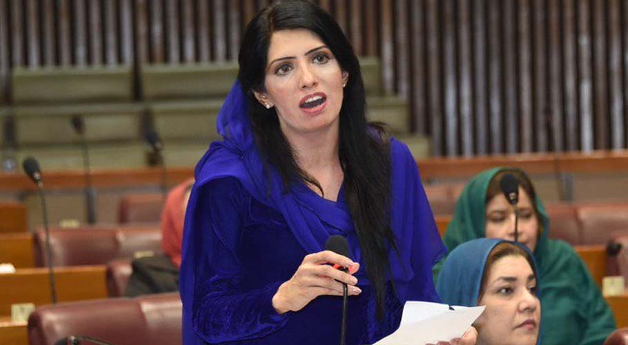 Aliya Hamza Malik criticized the Liberals