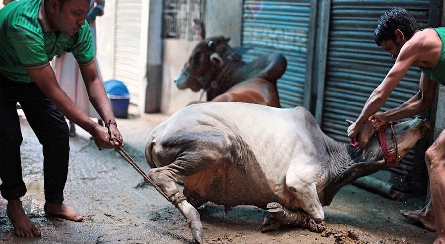 کورونا ٹیسٹ مثبت آنے کی شرح 23 فیصد، عید کے دوران گھروں میں قربانی پر پابندی عائد