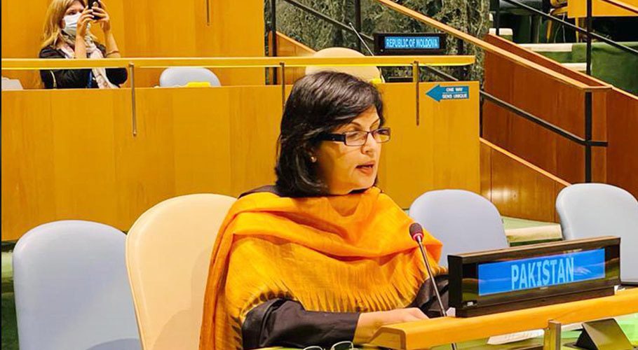 پاکستان نے کورونا سے جنگ کے دوران کمزور طبقات کی مدد کی۔ثانیہ نشتر