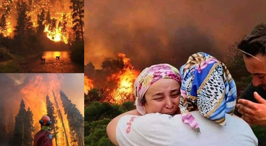 خوفناک آتشزدگی سے بڑے پیمانے پر جانی و مالی نقصان، ترکی میں آگ کس نے لگائی؟