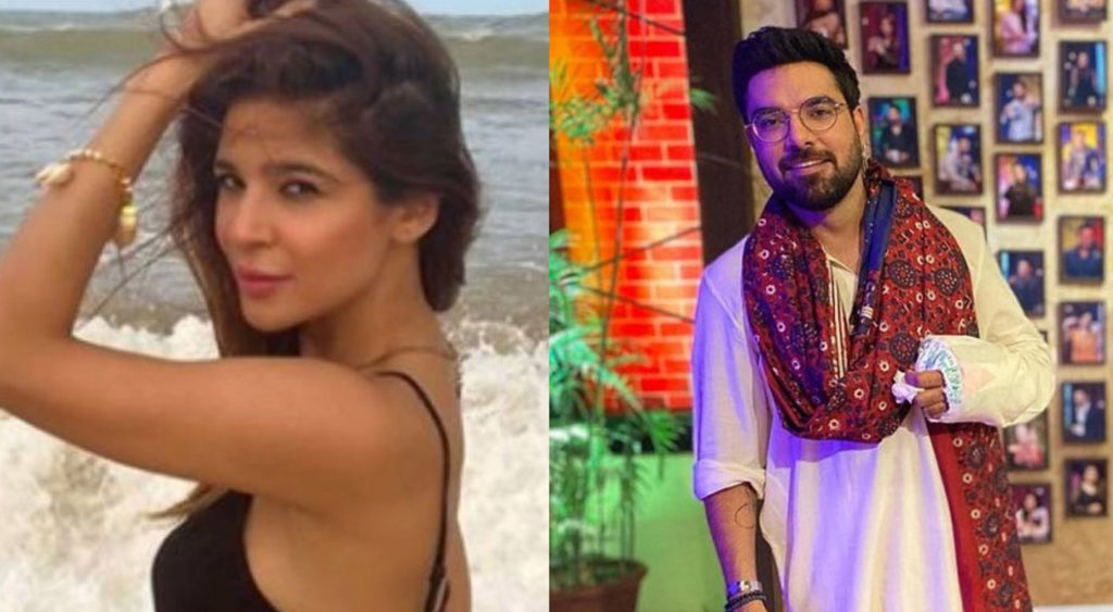 عائشہ عمر، یاسر حسین نئی فلم کے مرکزی کرداروں میں ایک ساتھ جلوہ گر ہوں گے