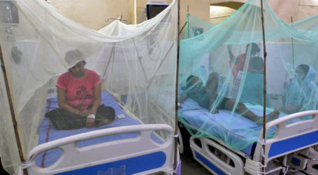 بھارت میں ڈینگی بخار کی وبا، یو پی سب سے زیادہ متاثر، 114 افراد ہلاک