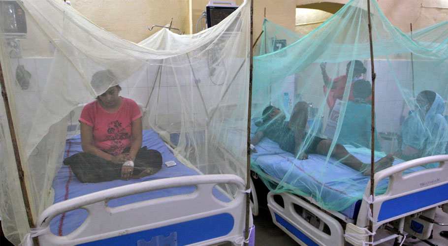راولپنڈی میں 24 گھنٹوں کے دوران 95 افراد میں ڈینگی وائرس کی تصدیق