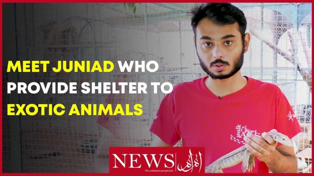 Mini-zoo’s Junaid provides shelter to exotic animals