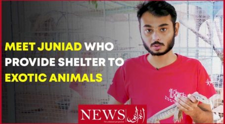 کراچی کے نوجوان  نے خطرناک جانوروں کیلئے چڑیا گھر بنالیا