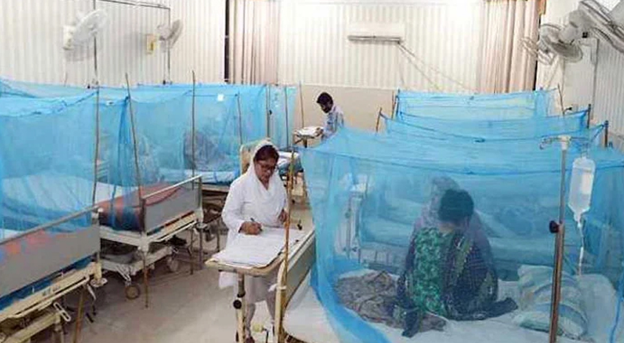 ملیریا، ڈینگی پروگرام کے لیے حکام نے 66 کروڑ اضافی فنڈ مانگ لیے
