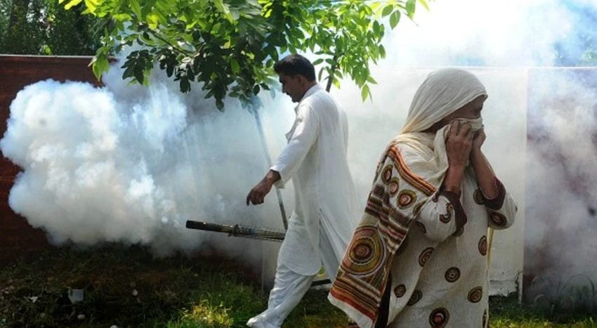 Pakistan dengue cases