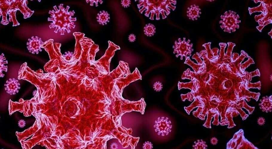 WHO names new coronavirus variant ‘omicron’, classifies it as ‘highly transmissible’