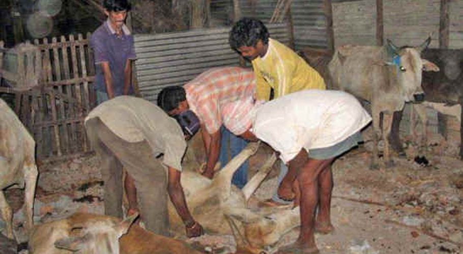 Police in India have shot dead seven Muslim youths in the legs over a cow slaughter