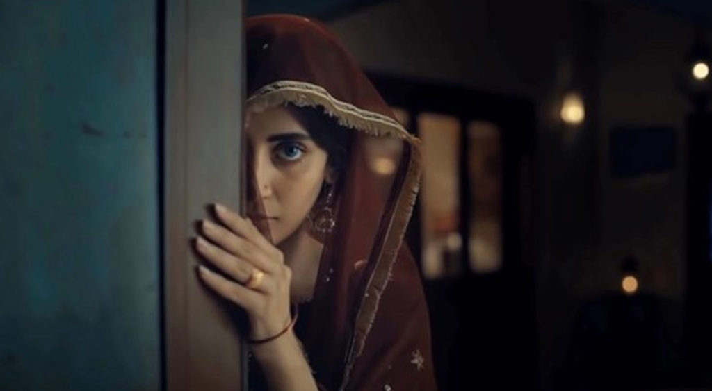 ڈرامہ سیریل نیلی زندہ ہے کا اختتام، سوشل میڈیا صارفین کا اظہارِ تحسین