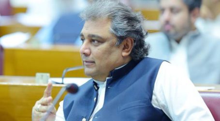 آصف زرداری نے اپنے منشی کو سندھ کا وزیر اعلیٰ بنا رکھا ہے، علی زیدی