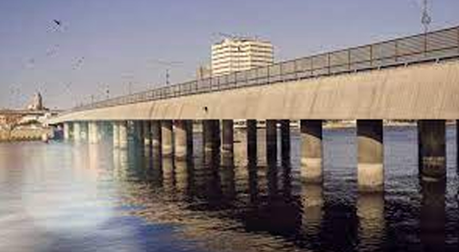 woman attempted to suicide along with her children