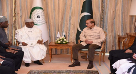 وزیر اعظم کی او آئی سی کے سیکرٹری جنرل سے ملاقات، مسلم دنیا کے مسائل پر تبادلہ خیال