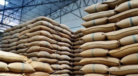 گندم کی ذخیرہ اندوزی کیخلاف سندھ میں آپریشن، 5لاکھ90ہزار بوریاں برآمد