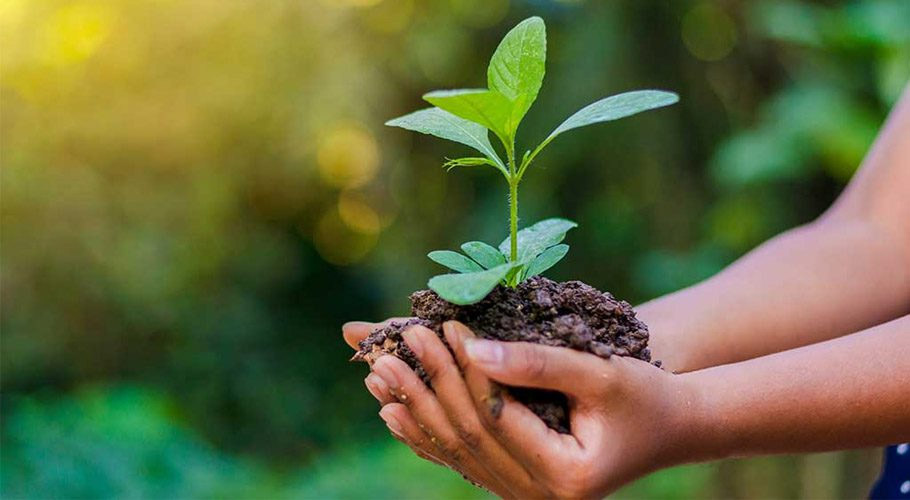 موسمیاتی تبدیلیاں عروج پر، دُنیا بھر میں ماحولیات کا عالمی دن آج منایا جارہا ہے