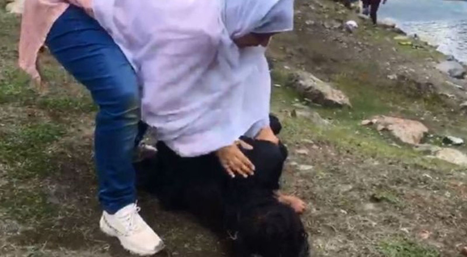 خاتون ڈاکٹر کا بڑا کارنامہ، جھیل میں ڈوبنے والے کم عمر لڑکے کی جان بچالی