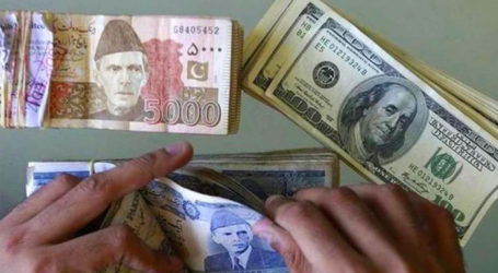 ڈالر پھر بے قابو، قیمت میں 7 روپے سے زائد کا بڑا اضافہ ہوگیا