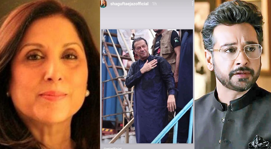 ضمنی انتخابات میں تحریک انصاف کی جیت، شوبز ستاروں کا کیا ردعمل آیا؟