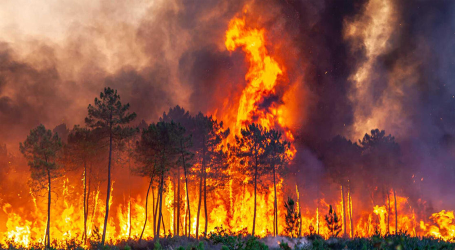 ہیٹ ویو کے باعث چین کے جنگلات میں شدید آگ، ریڈ الرٹ برقرار