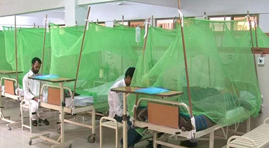 راولپنڈی میں ڈینگی وائرس بے قابو، 24 گھنٹوں میں مزید 81 کیسز رپورٹ