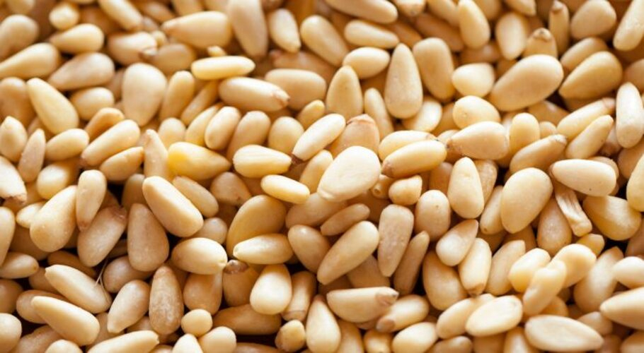 رواں مالی سال کے دوران چین کو پاکستانی چلغوزے کی برآمدات 41.48 ملین ڈالر تک پہنچ گئیں