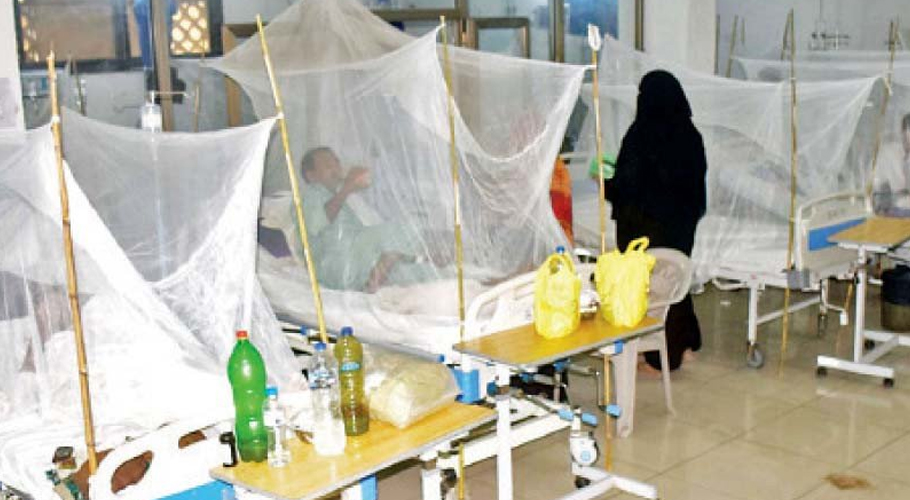 ڈینگی وائرس کے کیسز میں اضافہ، 24گھنٹوں میں 289 افراد متاثر