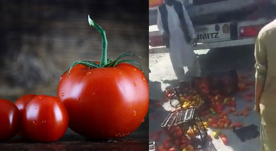 بلوچستان میں ٹماٹر سستا کرنے کیخلاف زمیندار متحرک، درآمد کیے گئے ٹماٹر ضائع کردئیے