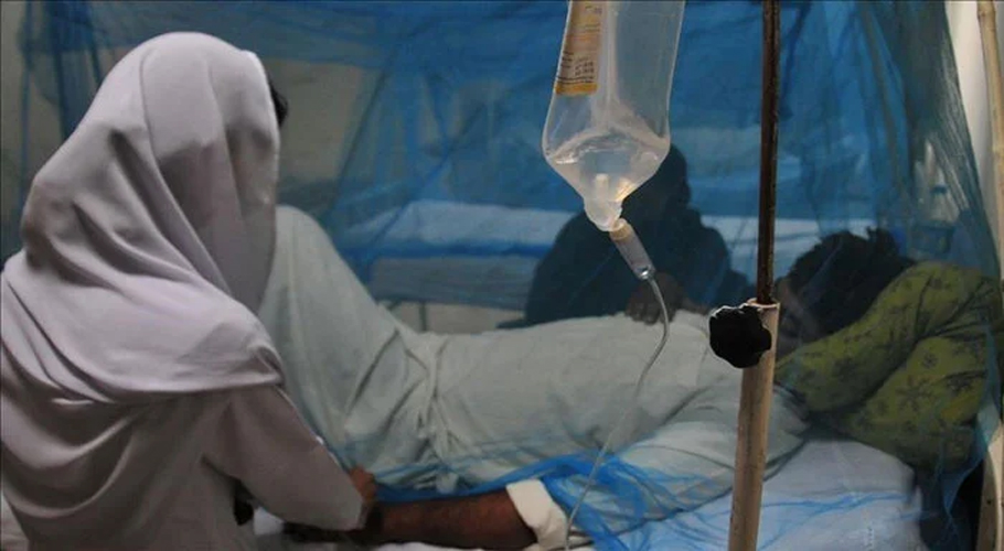 سندھ میں ڈینگی وائرس بے قابو، 24 گھنٹوں میں مزید 436 کیسز رپورٹ