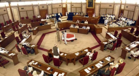 بلوچستان اسمبلی کا ٹرانس جینڈر ایکٹ ختم کرنے کا مطالبہ، قرار داد منظور