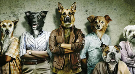 نصیرالدین شاہ اور تبو کی نئی فلم ’کتے‘ کا ٹیزر ریلیز ہوگیا