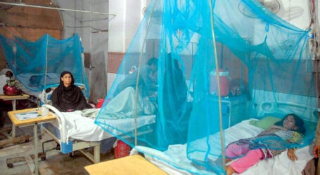 سندھ میں ملیریا کے کیسز میں تیزی سے اضافہ ہونے لگا