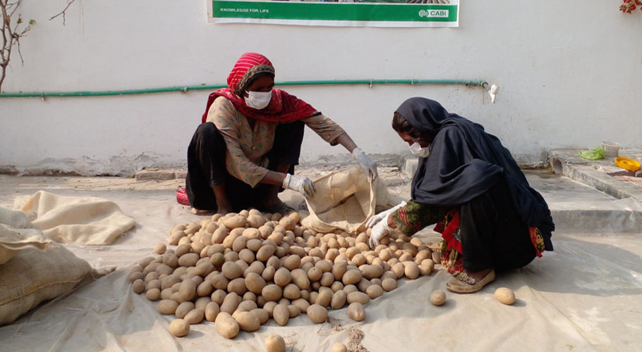 پنجاب میں مزدوروں کی کم از کز اجرت 32,000 روپے کر دی گئی