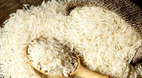 سیلاب کی تباہ کاریوں کے باوجود چاول کی پیداوار میں اضافہ