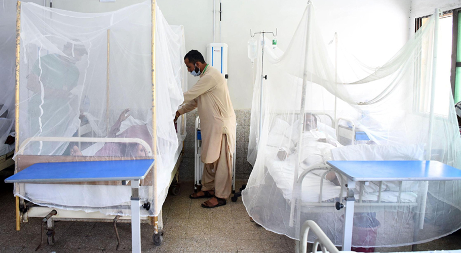 لاہور میں 24 گھنٹوں کے دوران ڈینگی کے4 نئے کیسزرپورٹ