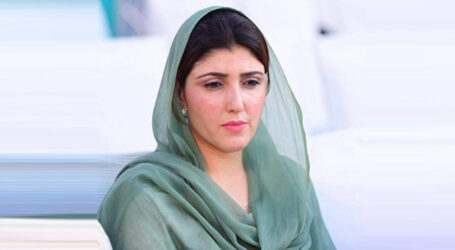 عائشہ گلالئی نے مسلم لیگ (ق) میں شمولیت اختیار کرلی