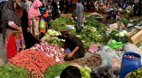 کمشنر کراچی نے سبزیوں کی قیمتوں کی نئی فہرست جاری کردی
