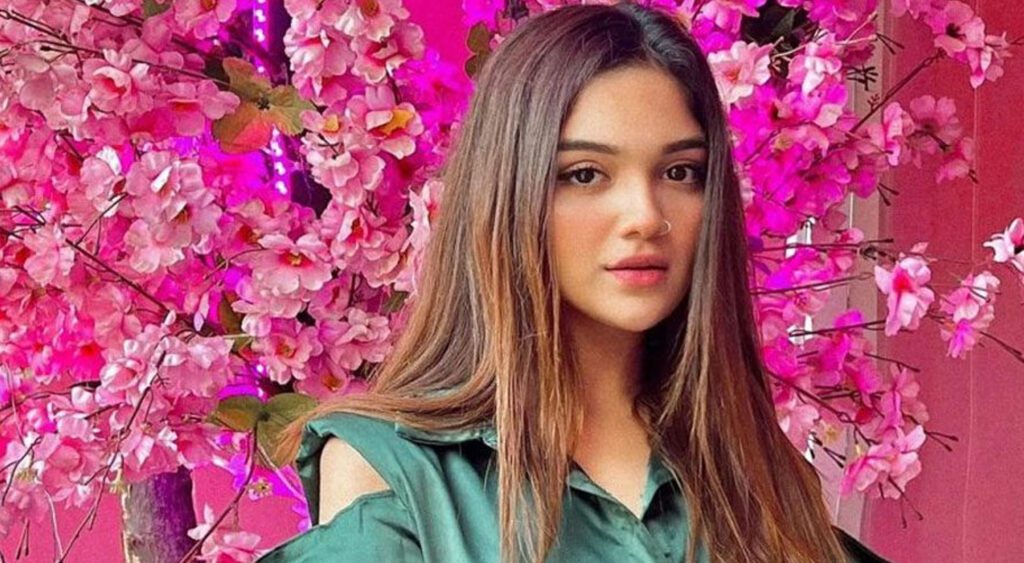 اداکارہ رومیسہ خان کو ساتھی فنکاروں سے ملائے جانے پر ذہنی دباؤ کا سامنا