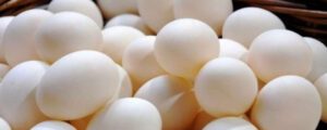 کراچی میں ایک انڈے کی قیمت 40 روپے تک پہنچ گئی