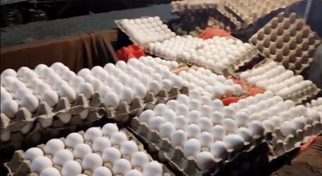کراچی کے شہریوں کو کیمیکل والے انڈے کھلائے جانیکا انکشاف؟