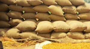 PM forms committee to probe wheat import scandal