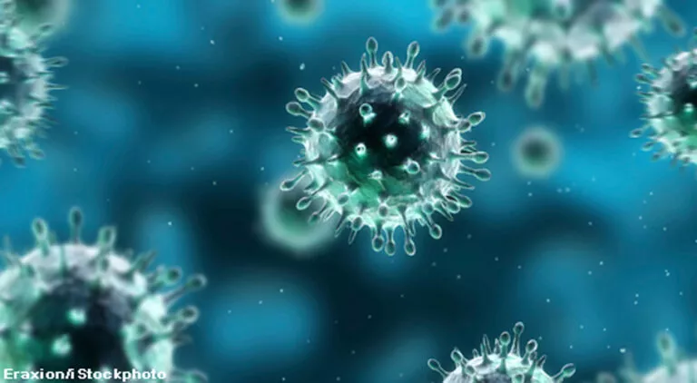 Chikungunya outbreak in Pakistan: What is it and how does it spread?