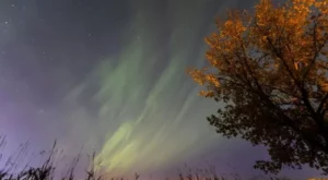 Northern Lights appear in Calgary, Canada