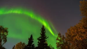 Northern Lights appear in Calgary, Canada