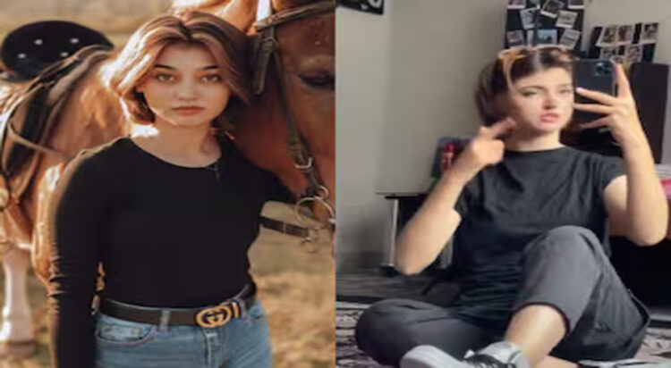 TikToker Imsha Rehman quits social media after explicit video leak