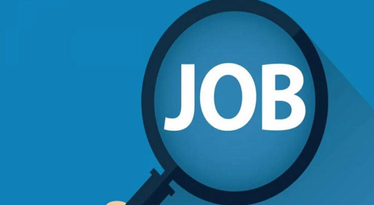 Sindh govt launches official job portal