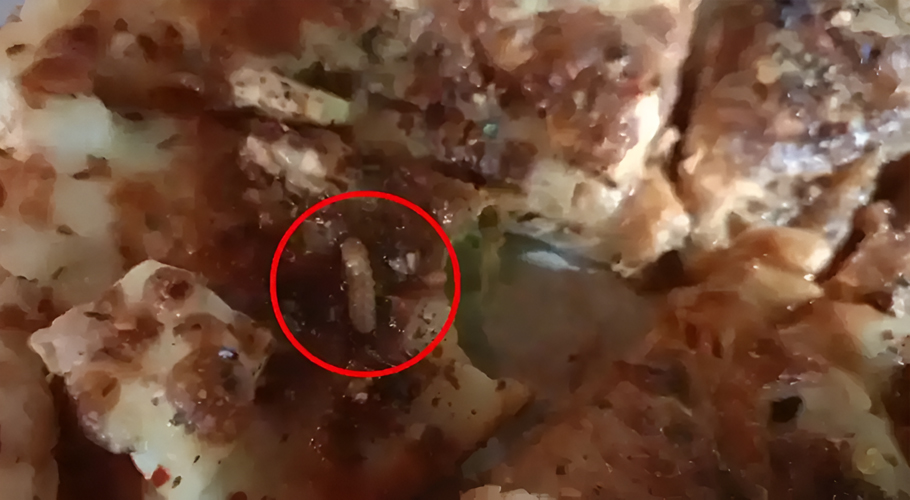 Man Discovers Live Worms in Pizza, Shocking Video Goes Viral