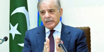 PM Shehbaz forms commission to assess Pakistan-India war losses