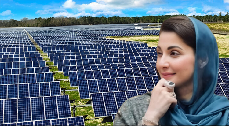 Punjab launches free solar panel scheme for citizens