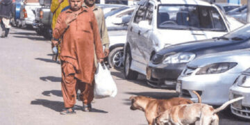 Karachi sees increase in dog bite incidents in last 25 days